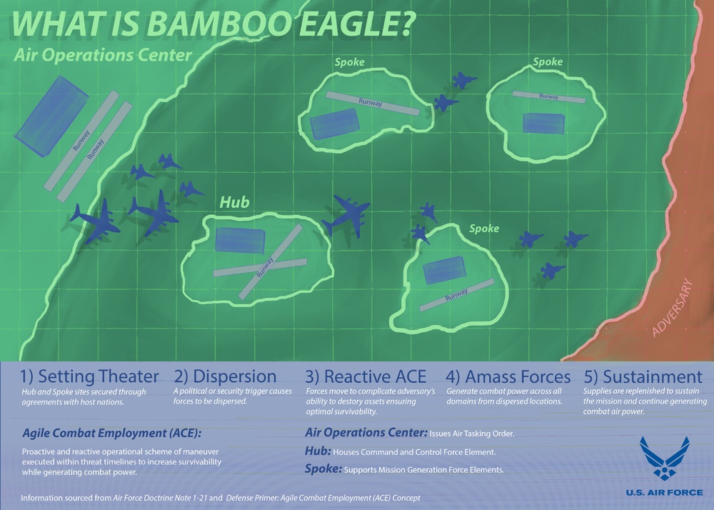 Bamboo Eagle ACE Infographic Series