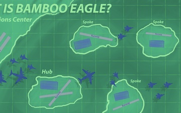 Bamboo Eagle ACE Infographic Series