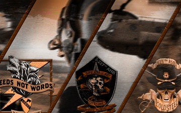 1st Air Cavalry Brigade Facebook Banner