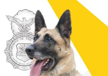 Military Working Dog Misha retires from duty