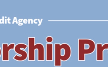 Mentor Perspectives on the 2024 DCAA Mentorship Program