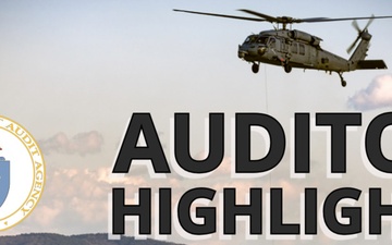 DCAA Auditor Highlights
