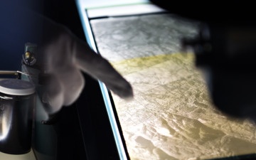 History Museum header