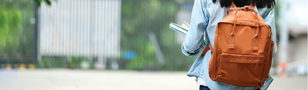 Student Section Image