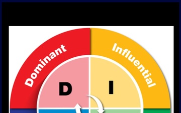 DISC assessment