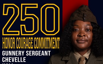 Marine Forces Reserve 250th Birthday pageant poster