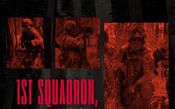1st Squadron, 91st Cavalry Regiment Poster