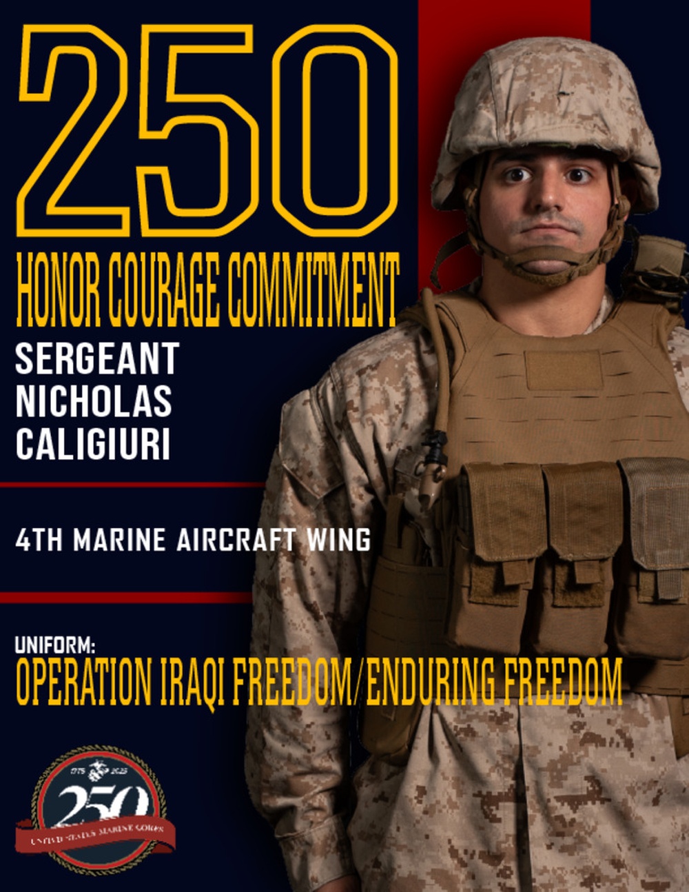Marine Forces Reserve 250th Birthday pageant poster
