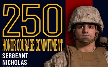Marine Forces Reserve 250th Birthday pageant poster