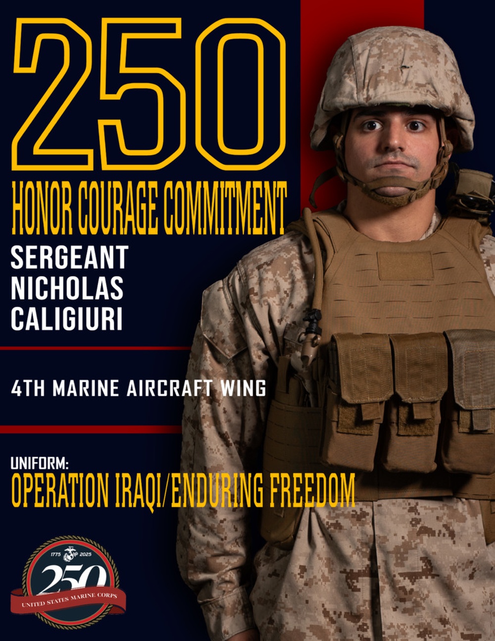 Marine Forces Reserve 250th Birthday pageant poster