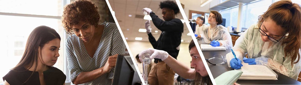 Composite of students and mentors Composite of students and mentors