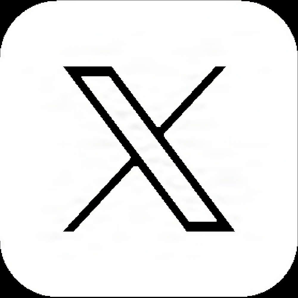 White X icon White X icon