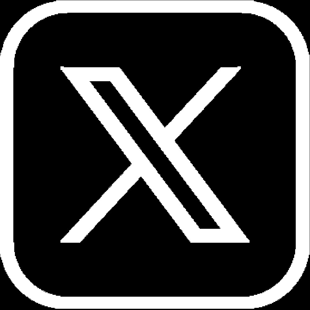 White X with Border icon