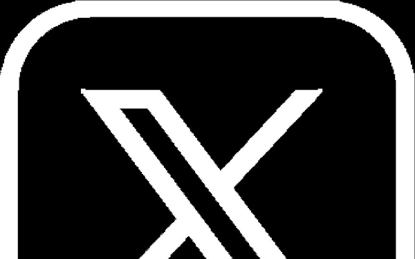 White X with Border icon