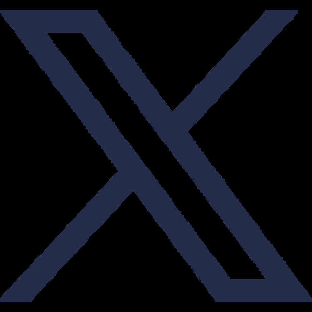 X Icon
