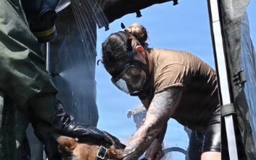 Military Personnel cleaning dog both are in protective gear.