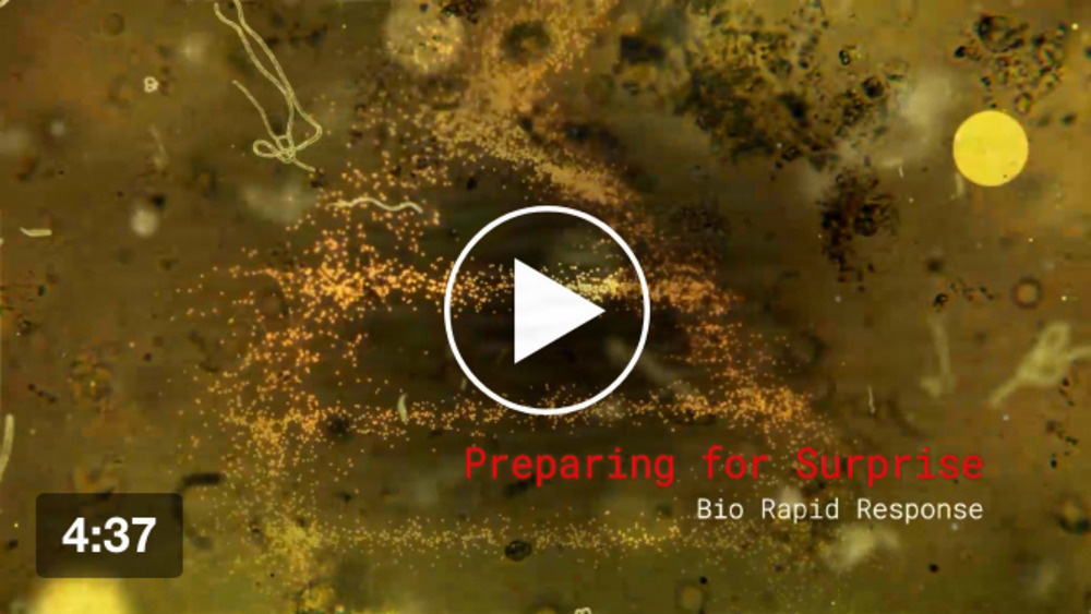 Microscopic imagery of viruses and bacteria illustrates the video "BIOLOGICAL RAPID RESPONSE: PREPARING FOR SURPRISE," Microscopic imagery of viruses and bacteria illustrates the video "BIOLOGICAL RAPID RESPONSE: PREPARING FOR SURPRISE,"