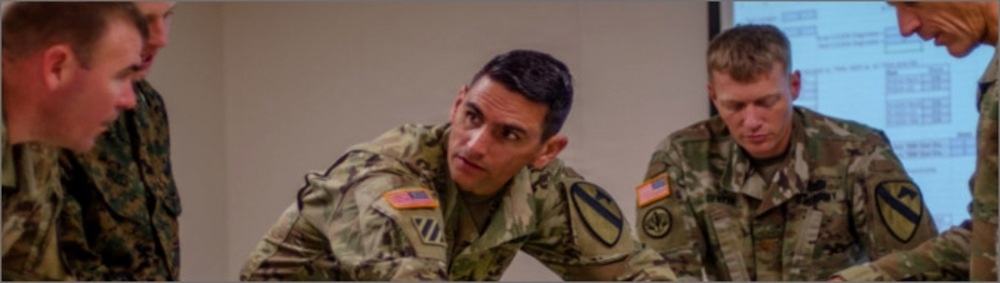 Strategic Integration Personnel