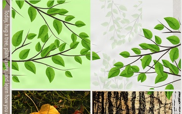 National Love a tree day