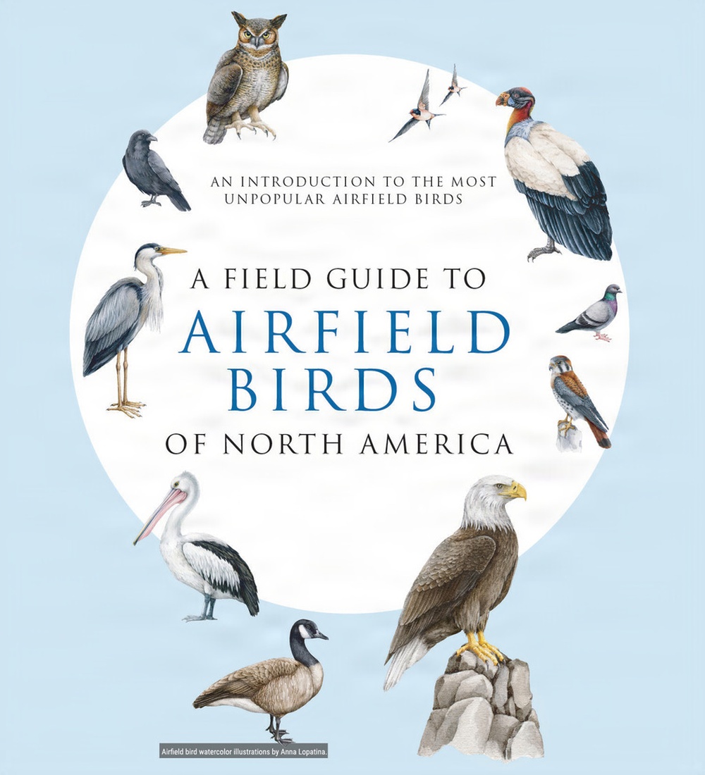 A Field Guide to Airfield Birds of North America