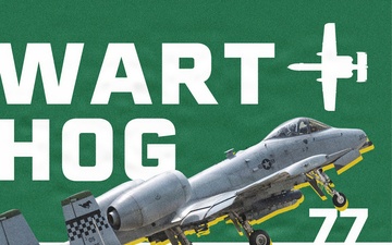 Osan Air Power Days 2025 Static Display Poster (Version 2)