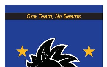 19 CABS Activation Program