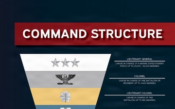 Command Structure