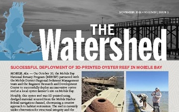 The Watershed Newsletter | November 2025 | Volume 1, Issue 2