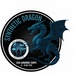 Synthetic Dragon 2025