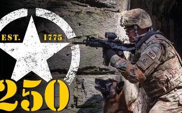 Wounded Paw Project Event - Army 250 Birthday Festival Promotional Signs - Sign 2