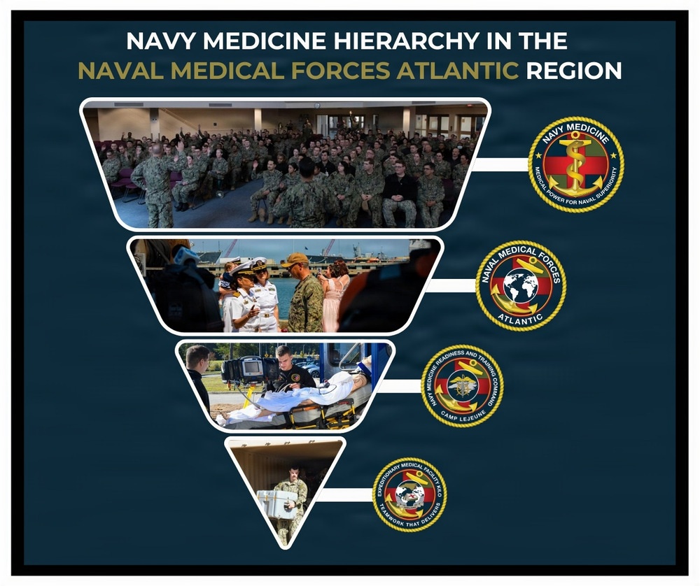 Navy Medicine Hierarchy Infographic