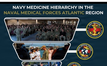 Navy Medicine Hierarchy Infographic