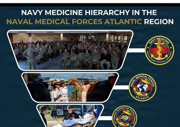 Navy Medicine Hierarchy Infographic