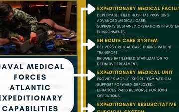 Navy Medicine Hierarchy Infographic