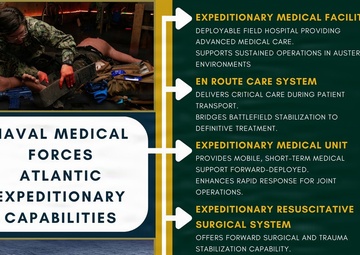 Navy Medicine Hierarchy Infographic