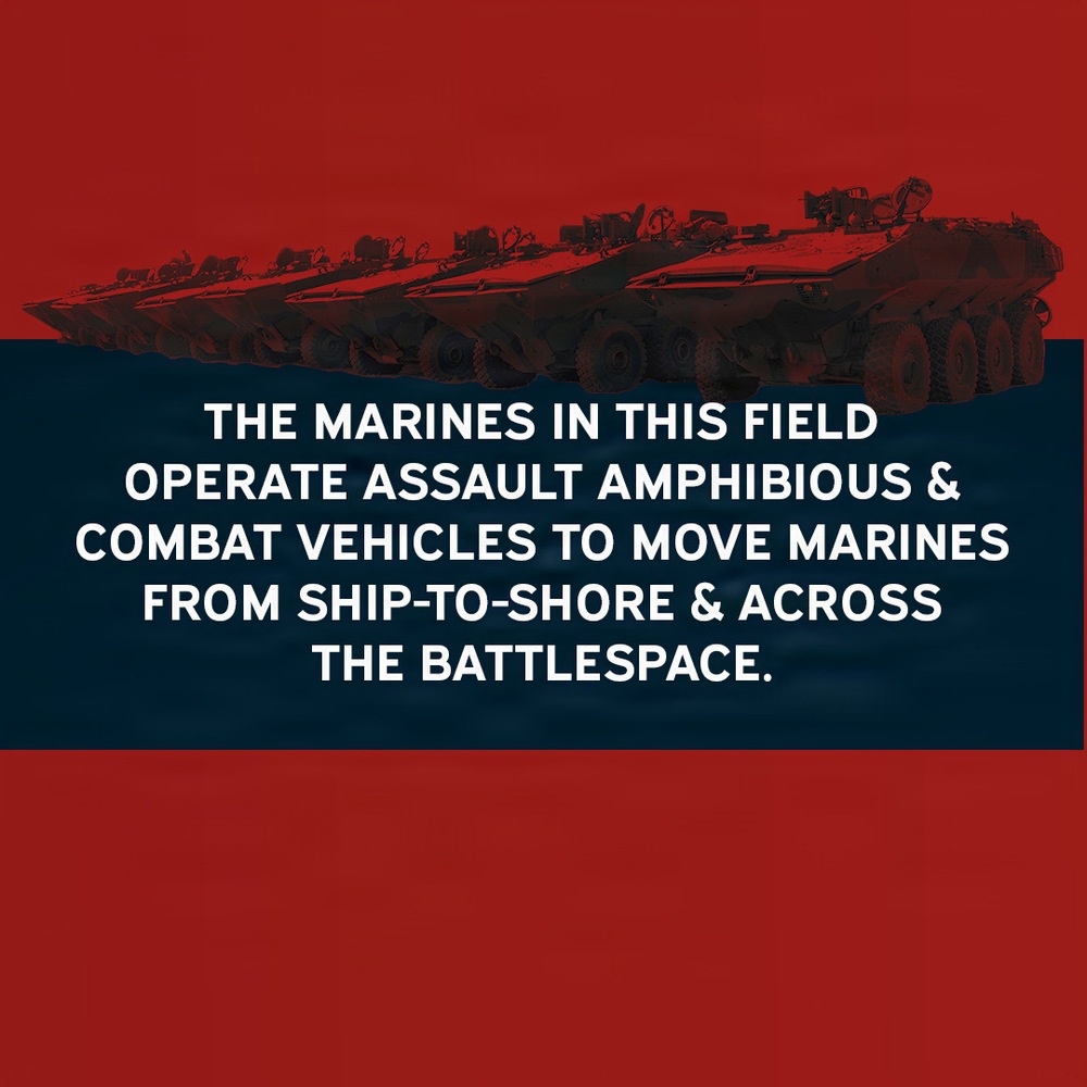 Occupational Field 18 – Assault Amphibious and Assault Combat Vehicles (Page 4 of 7)