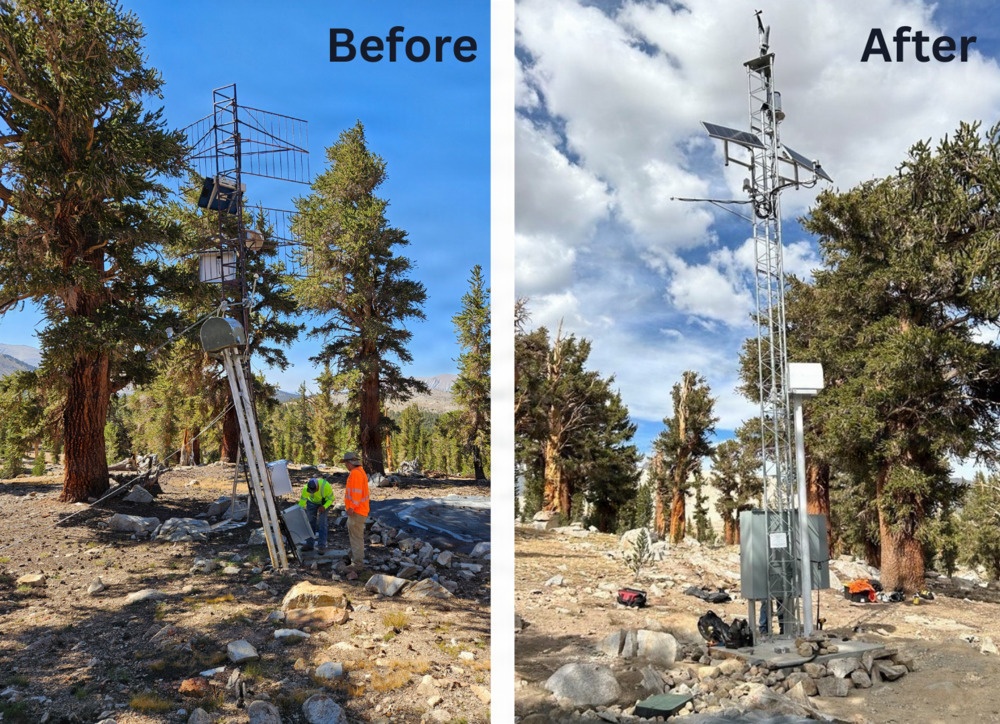 Upper Tyndall Weather Station Rebuild