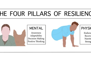 The four pillars of resilience