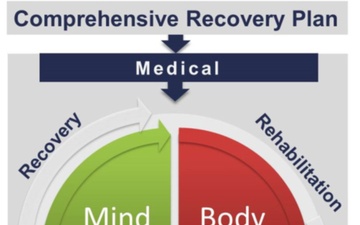 Comprehensive Recovery Plan Graphic