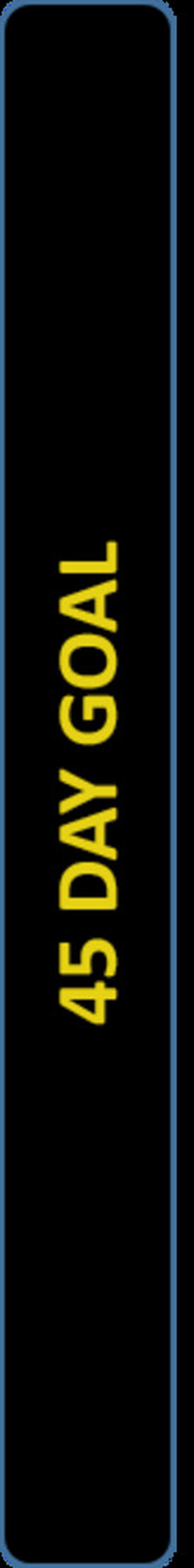 45 Day Goal Graphic