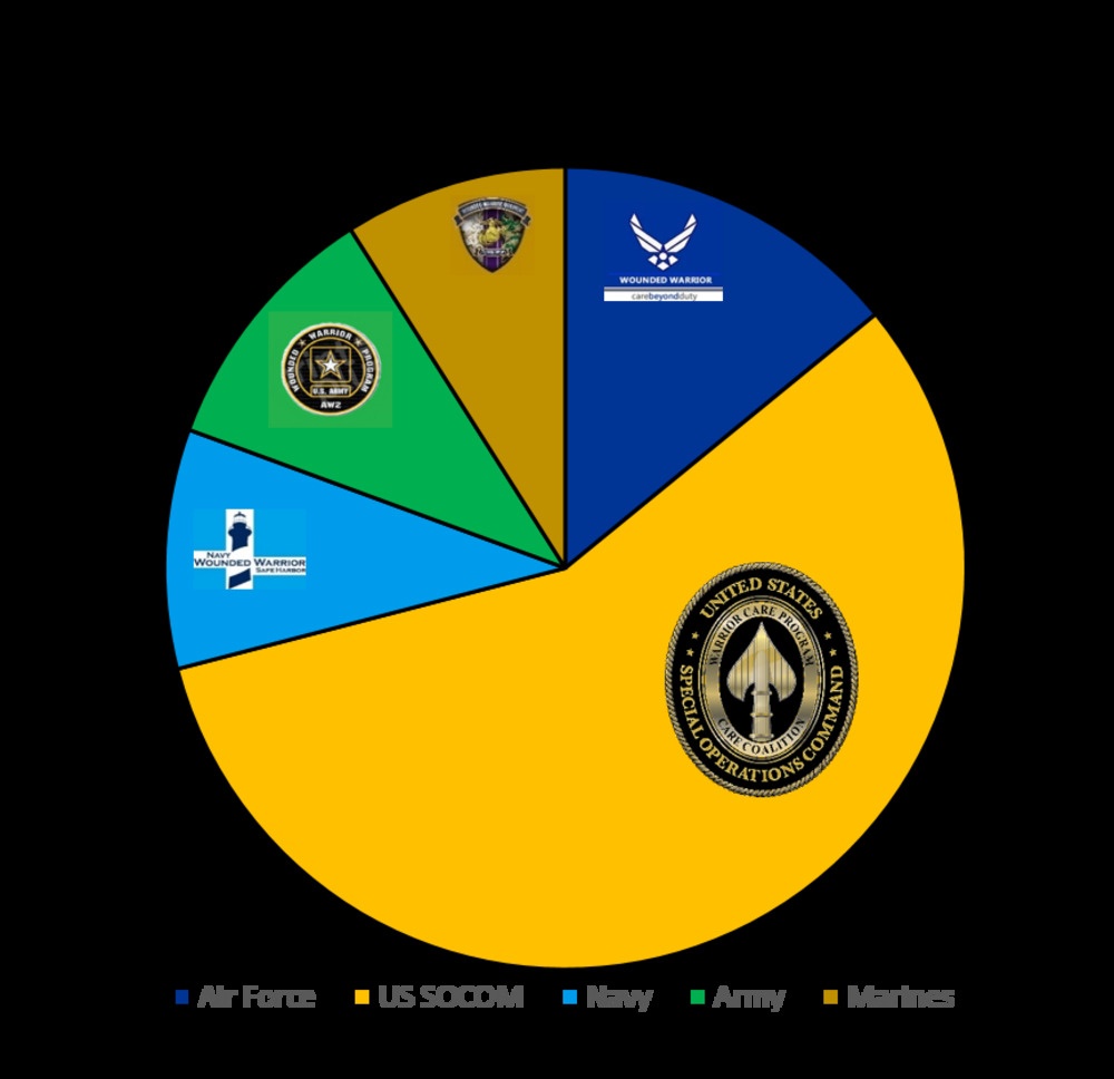 Care Coalition Program Enrollment Pie Graph