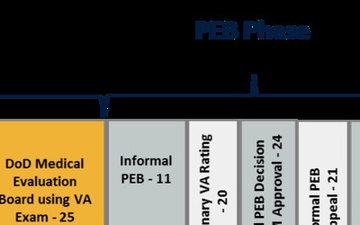 IDES Processing Goals graphic