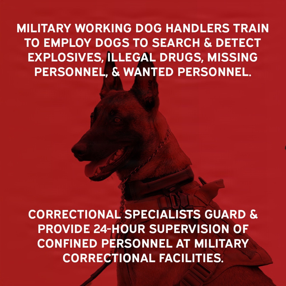 U.S. Marine Corps Occupational Field 58 – Military Police, Investigations, and Corrections (Page 6 of 7)