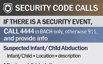 Plain Language Codes Card - Security Codes