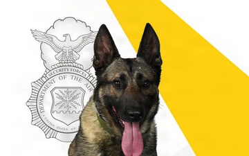 88th Air Base Wing recognizes retirement of MWD Flex