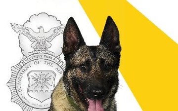 88th Air Base Wing recognizes retirement of MWD Flex