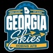 Georgia Skies Air Show Logo