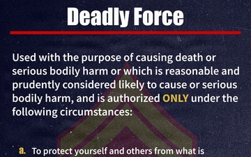 PME Posters | Deadly Force