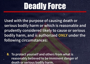 PME Posters | Deadly Force
