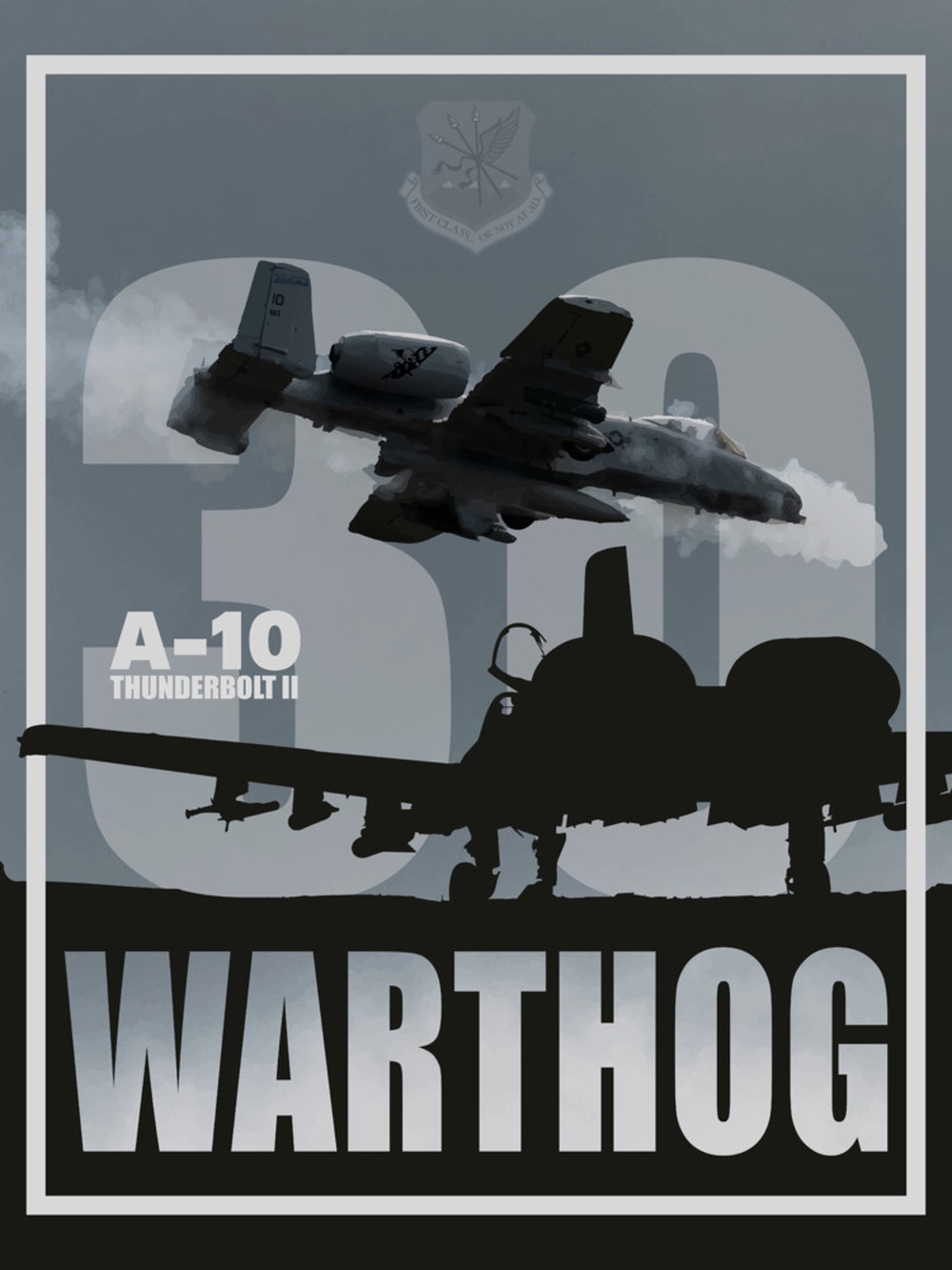 A-10 Thunderbolt II Idaho Anniversary
